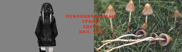 MESCALINE Алзамай