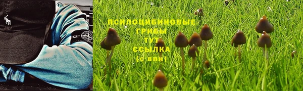 кокс Алексеевка