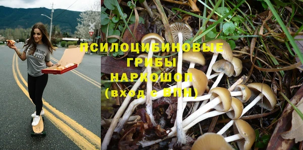 a pvp Алексин