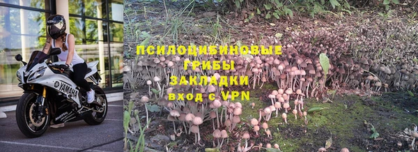 кокс Алексеевка